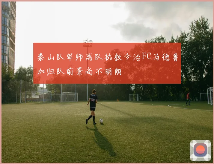 泰山队军师离队执教今治FC马德鲁加归队前景尚不明朗